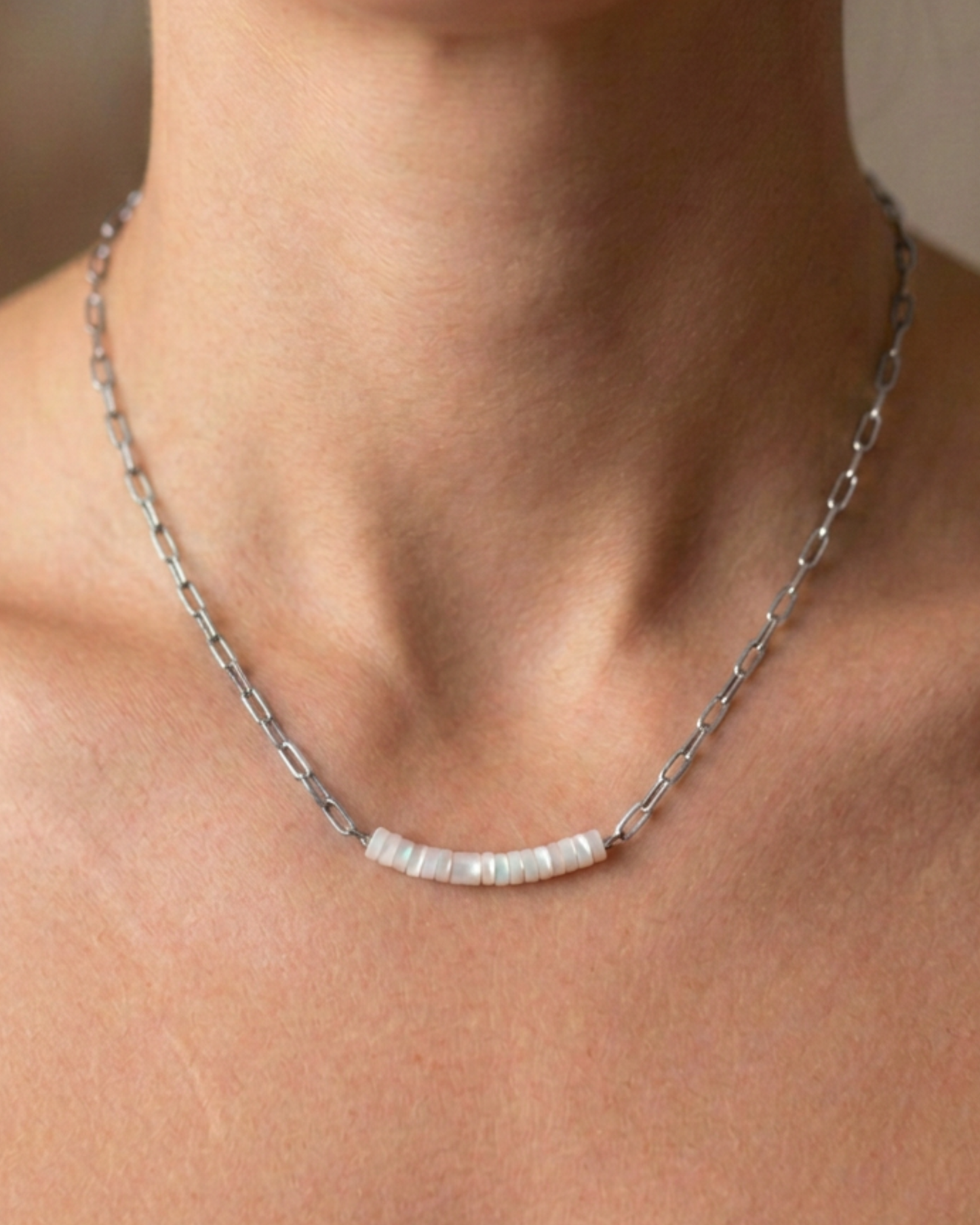 Silver Shelley